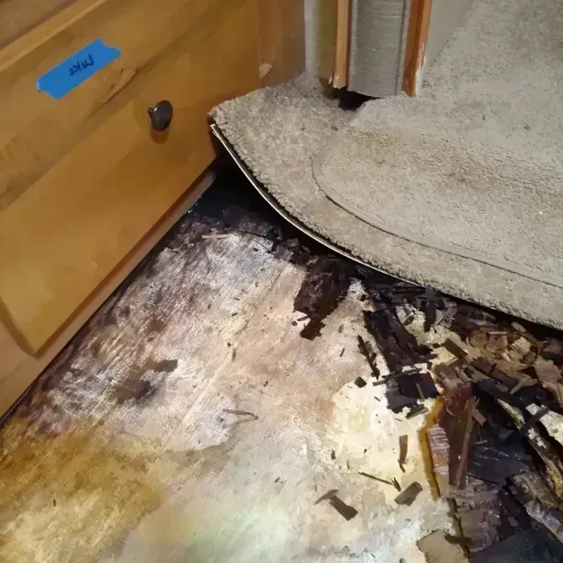 Best Wood Floor Water Damage Service in Lake Worth, FL